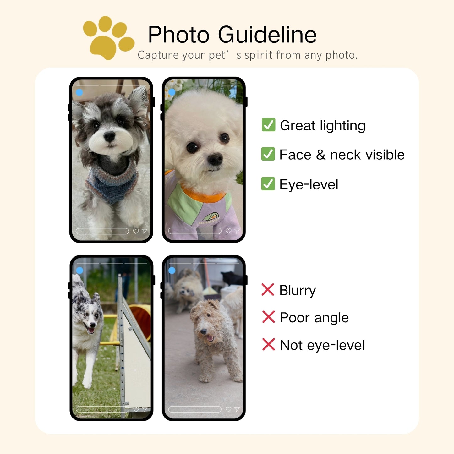 Pet photo guideline for custom hand-drawn portrait orders