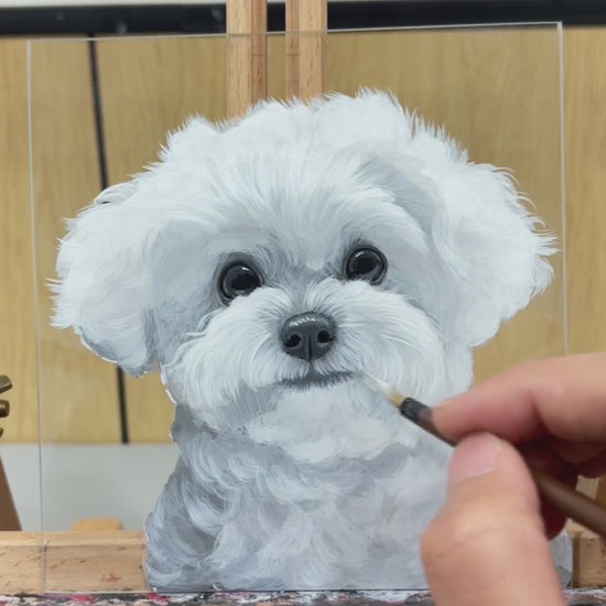Hand-drawn pet portrait timelapse — 16:9 widescreen view showing the full drawing process by James